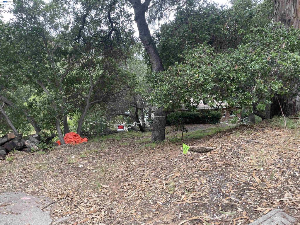 5415 Leona St Property Photo 4