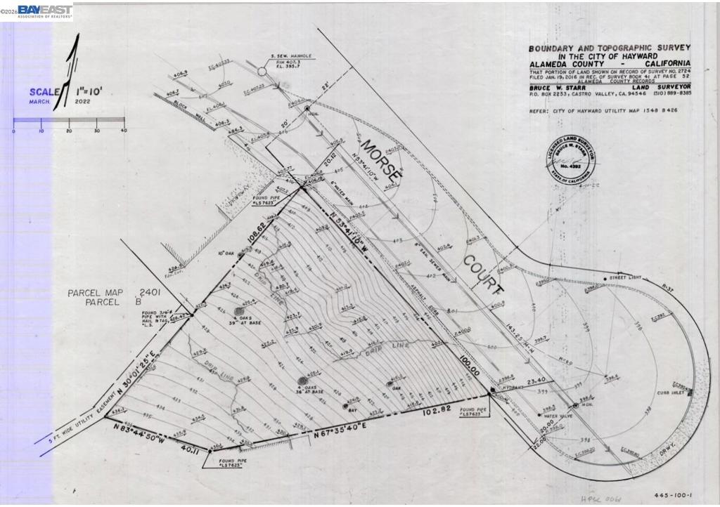 Morse Ave Property Photo 5