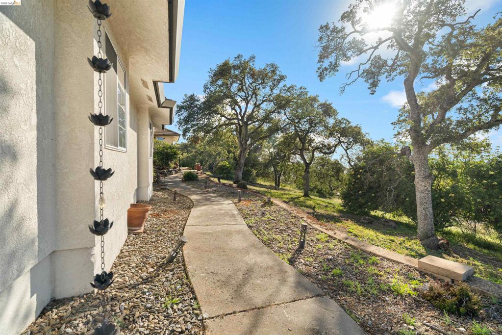 3589 Pardee Property Photo 5