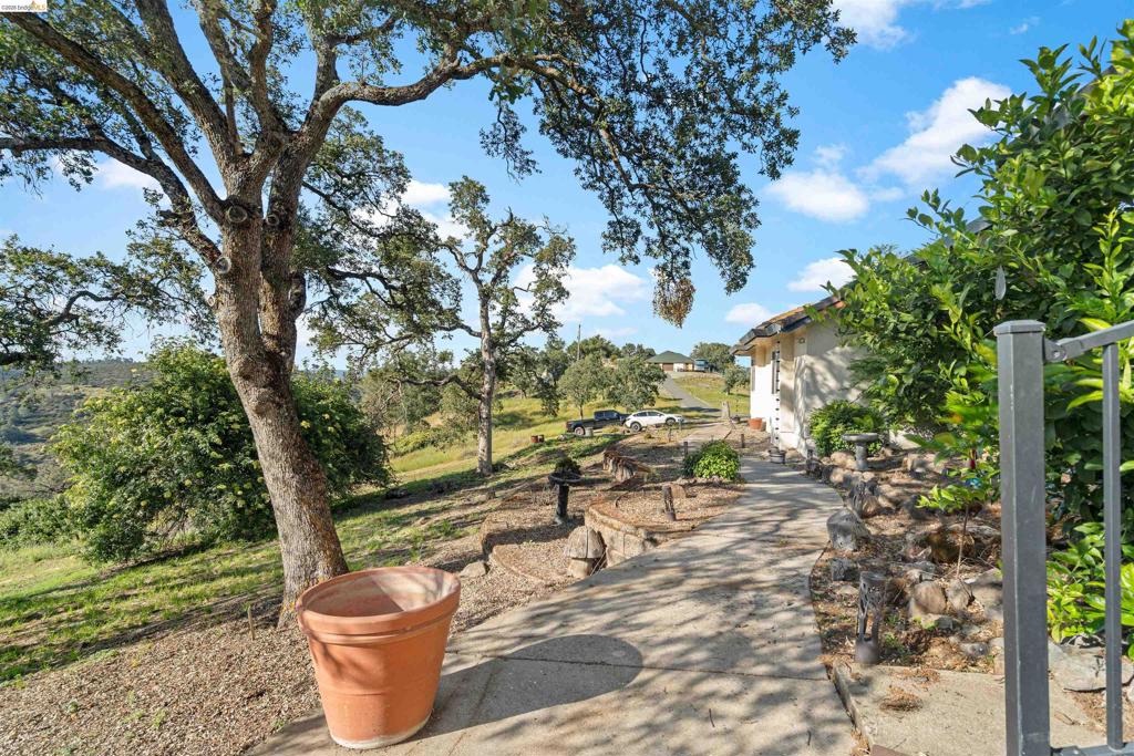 3589 Pardee Property Photo 58