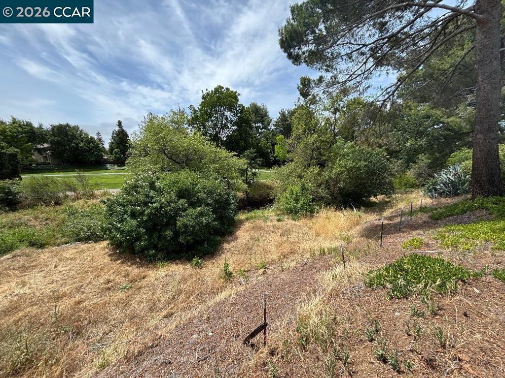 5460 Concord Blvd B7 Property Photo 19