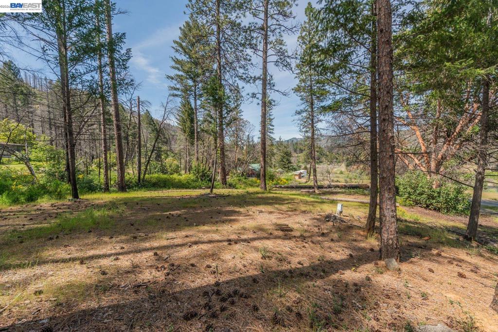 710 Dutch Creek Rd Property Photo 6
