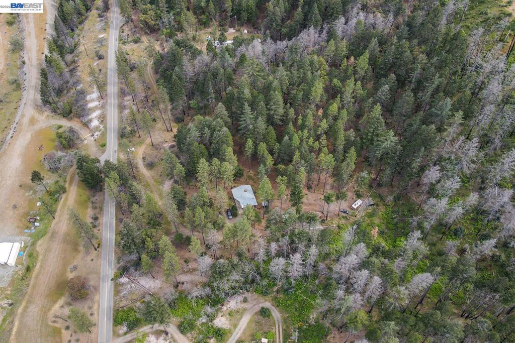 710 Dutch Creek Rd Property Photo 13