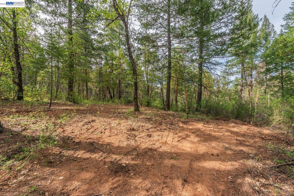 1780 Dutch Creek Rd Property Photo 10