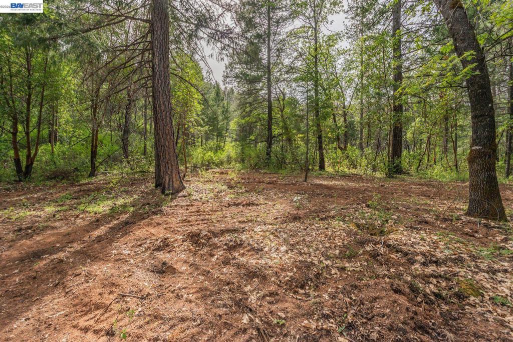 1780 Dutch Creek Rd Property Photo 11