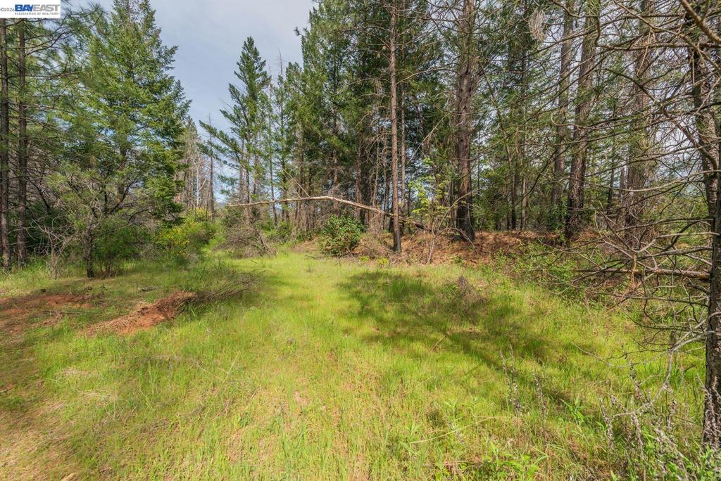 1780 Dutch Creek Rd Property Photo 12