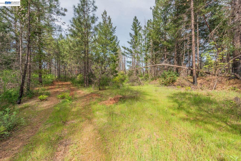 1780 Dutch Creek Rd Property Photo 13