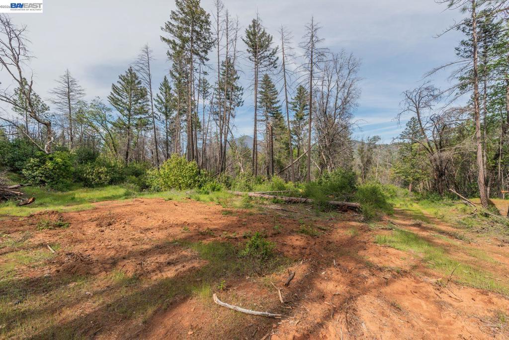 1780 Dutch Creek Rd Property Photo 15
