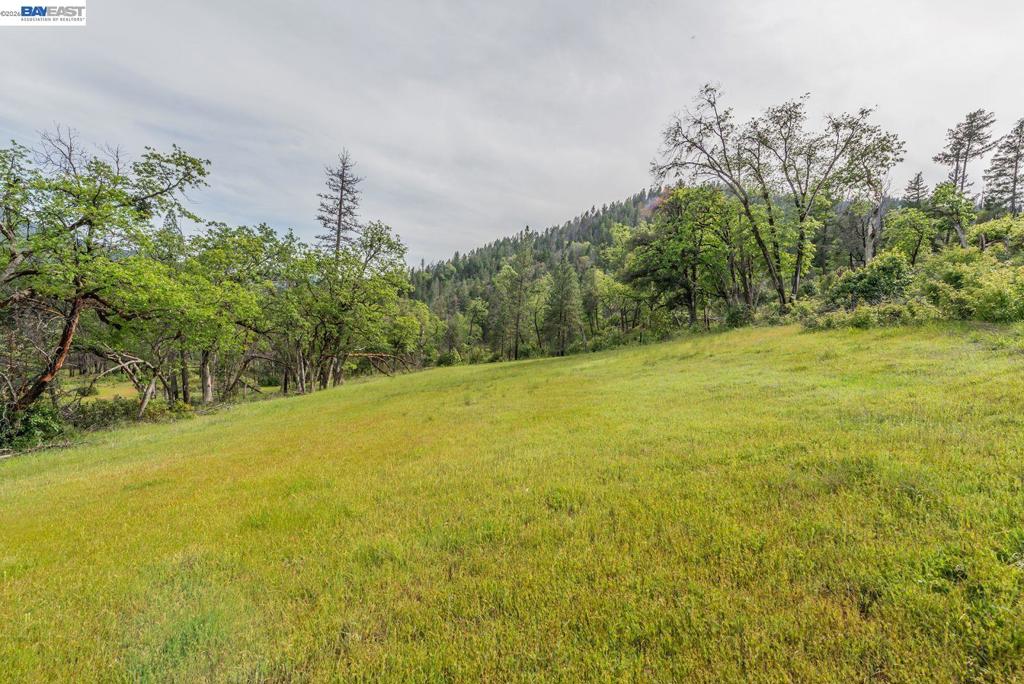 1780 Dutch Creek Rd Property Photo 16