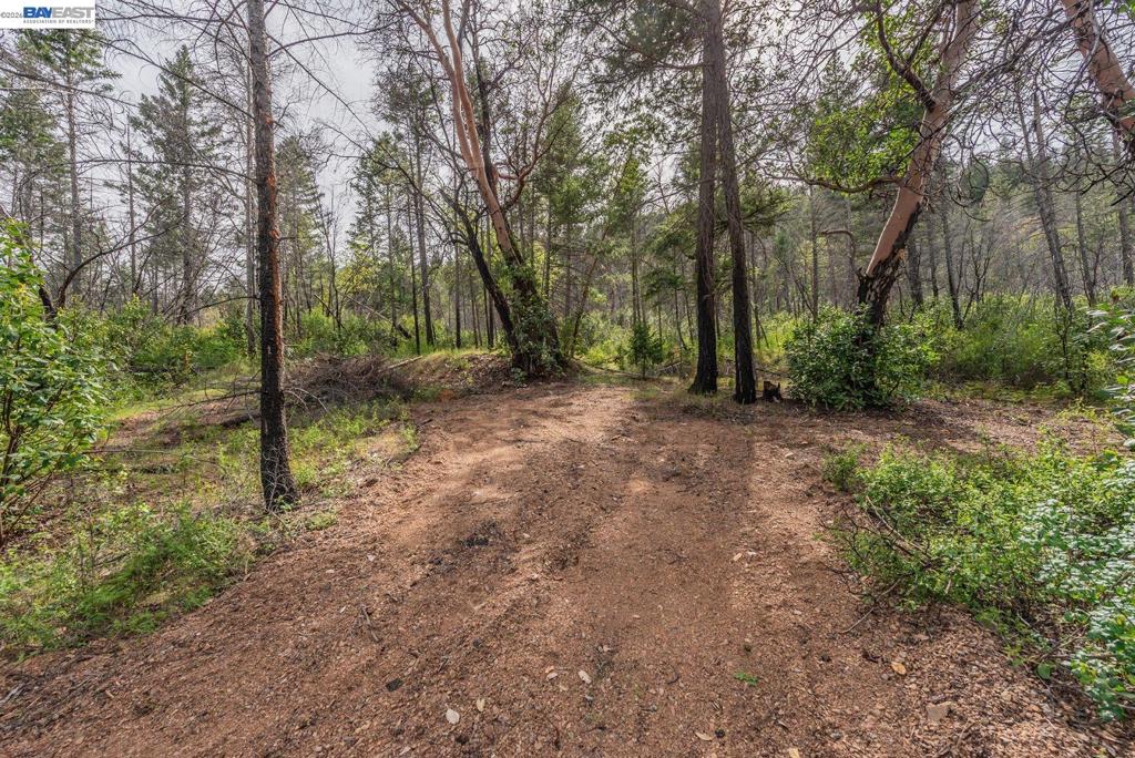 1780 Dutch Creek Rd Property Photo 17