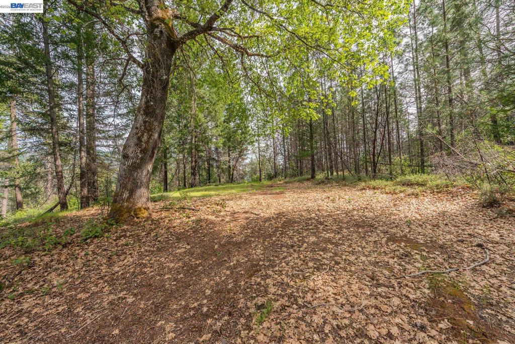 1780 Dutch Creek Rd Property Photo 18