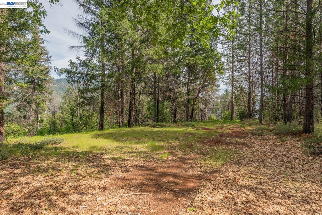 1780 Dutch Creek Rd Property Photo 19