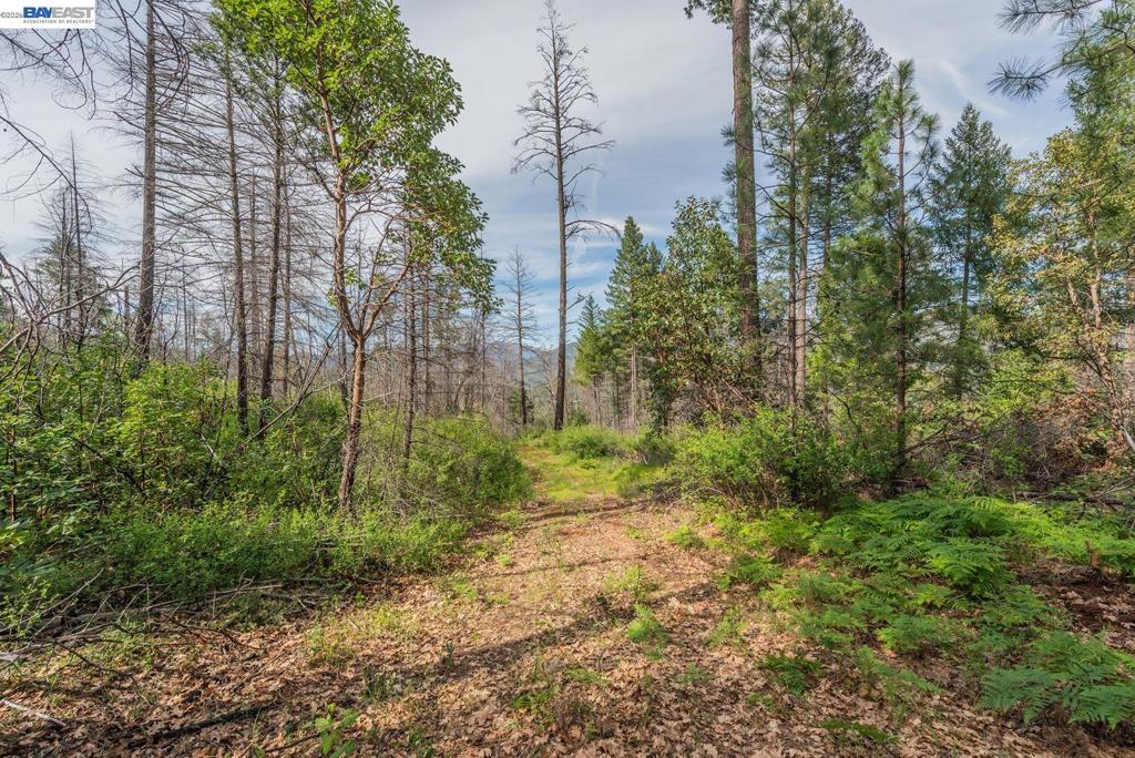 1780 Dutch Creek Rd Property Photo 20