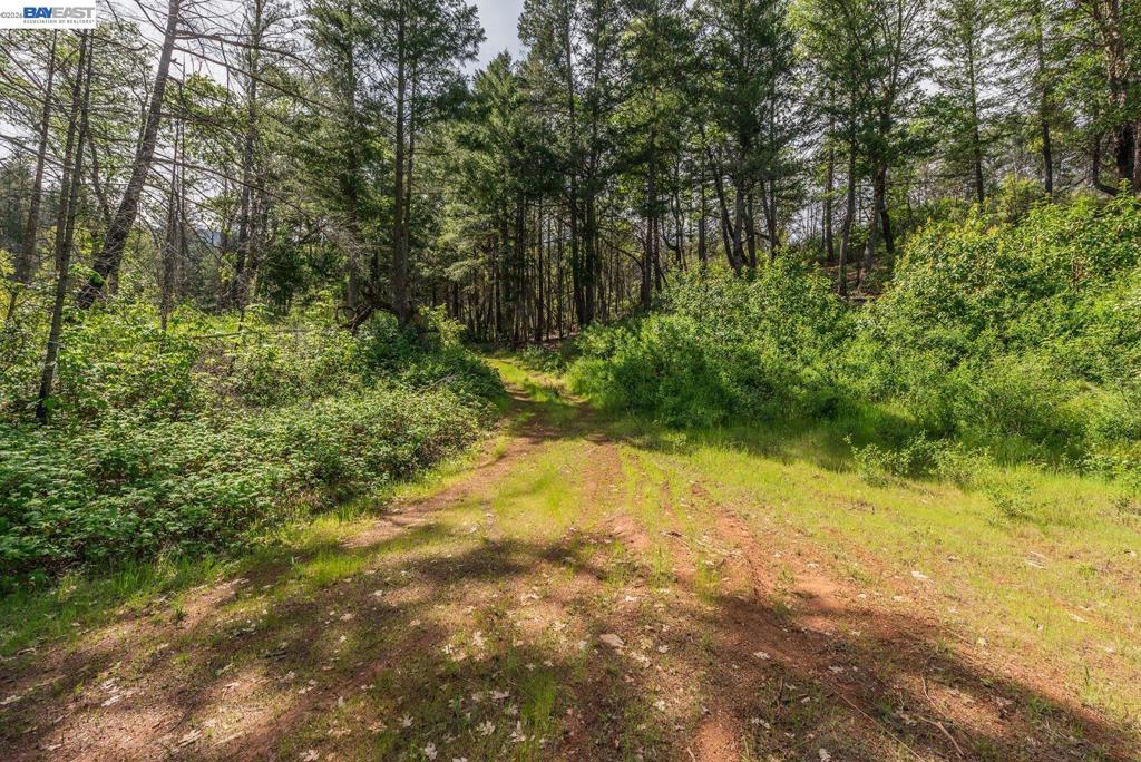 1780 Dutch Creek Rd Property Photo 24