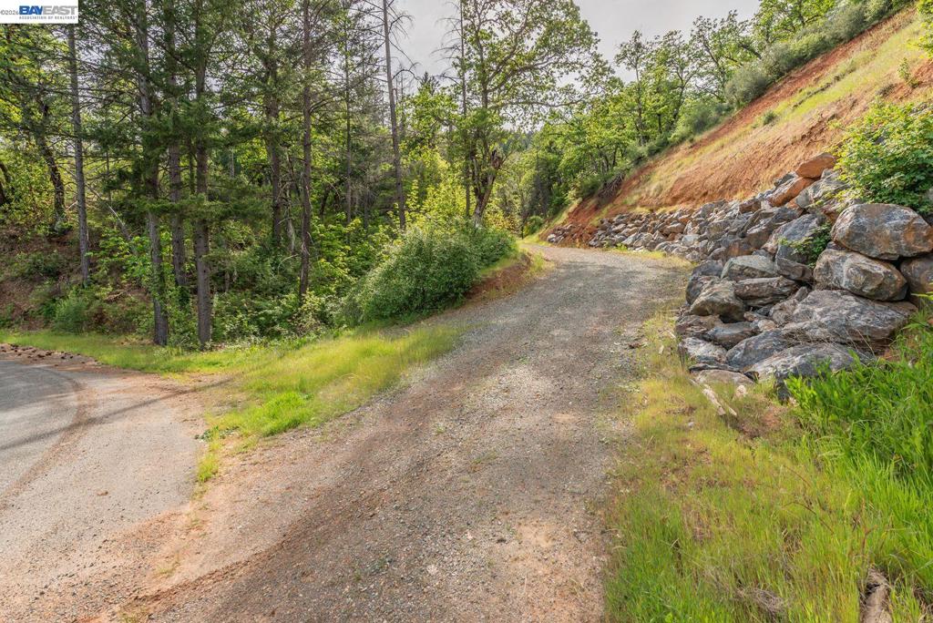 1780 Dutch Creek Rd Property Photo 27