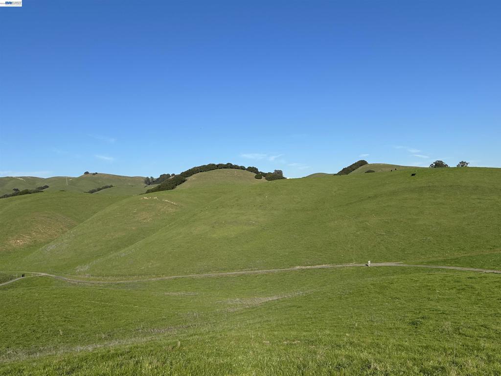 Morrison Canyon Rd Lot #4 Property Photo 6