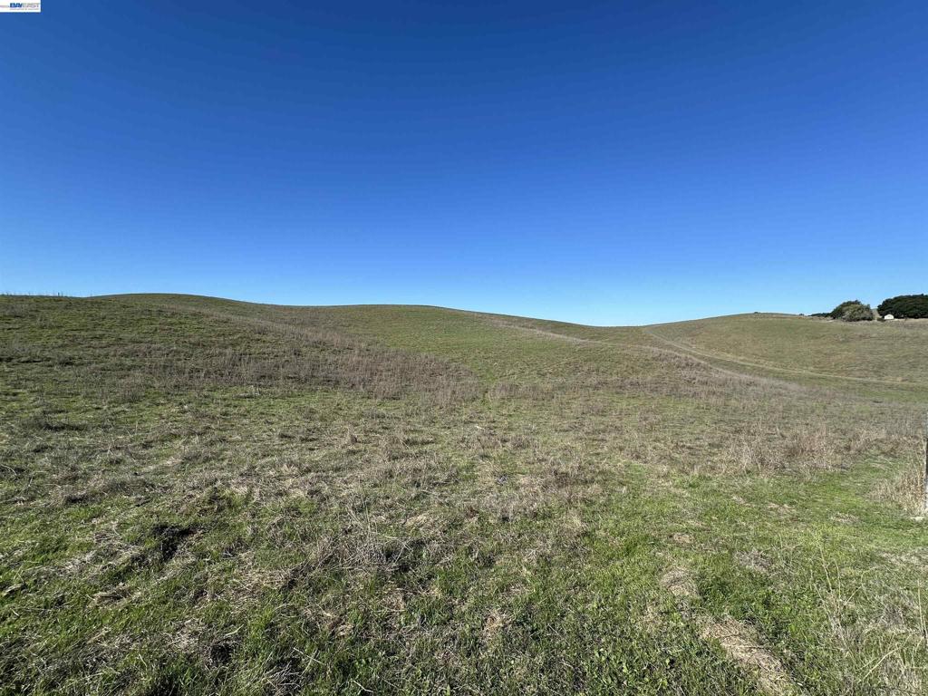 Morrison Canyon Rd Lot #4 Property Photo 10