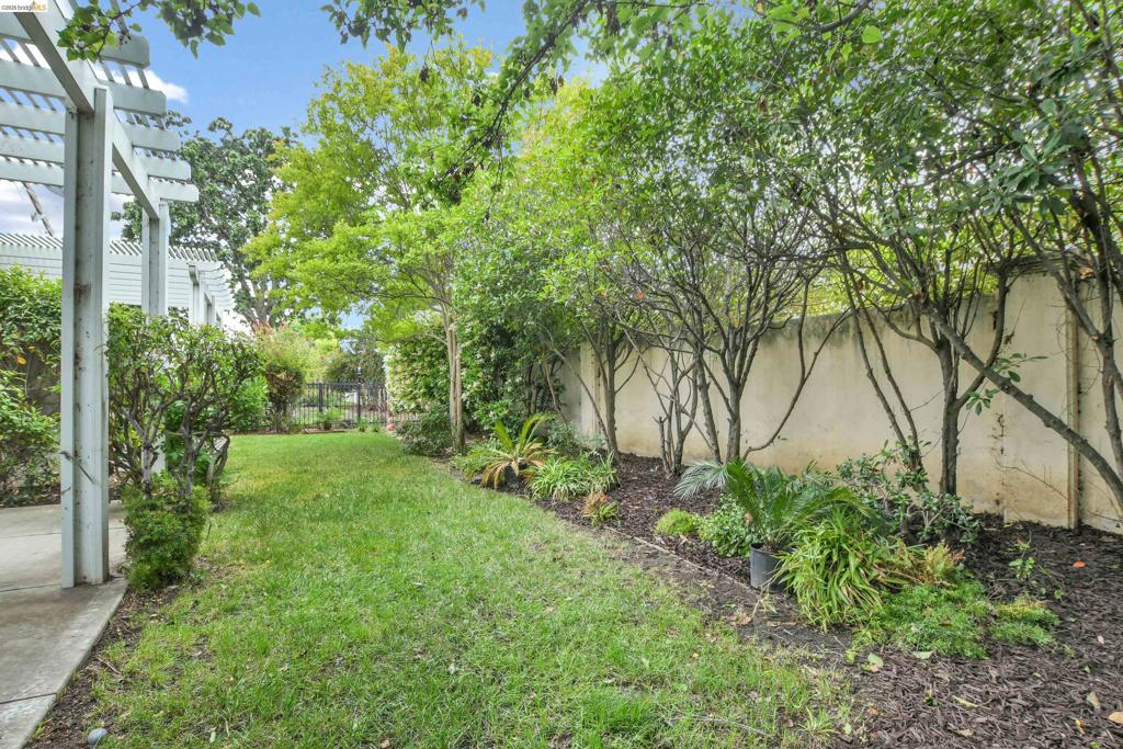 276 Black Amber Way Property Photo 22