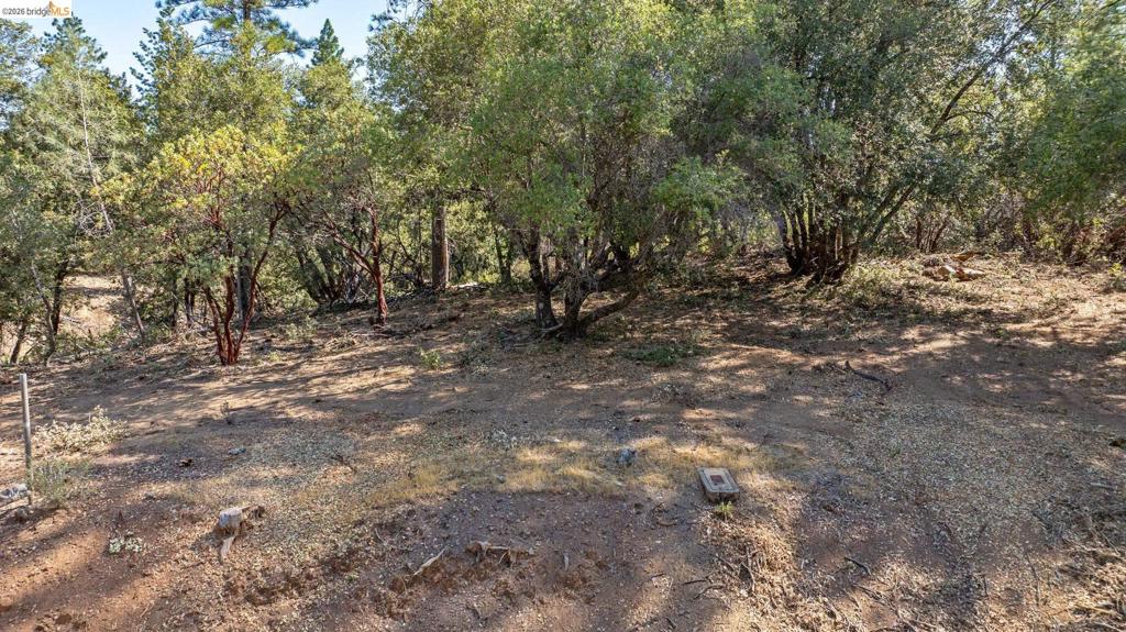 18465 Harper Road Property Photo 1