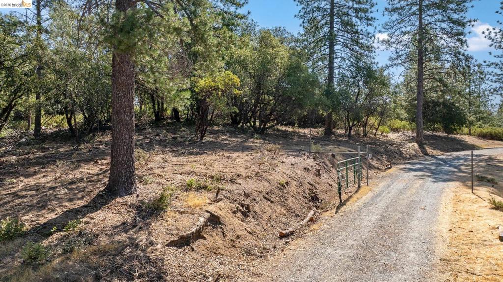 18465 Harper Road Property Photo 2