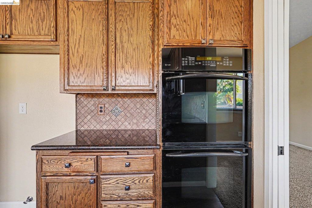 1627 Geyser Cir Property Photo 11