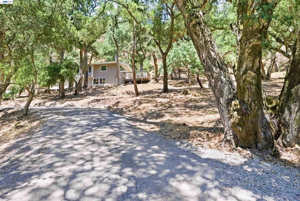 1929 Kilkare Road Property Photo 24