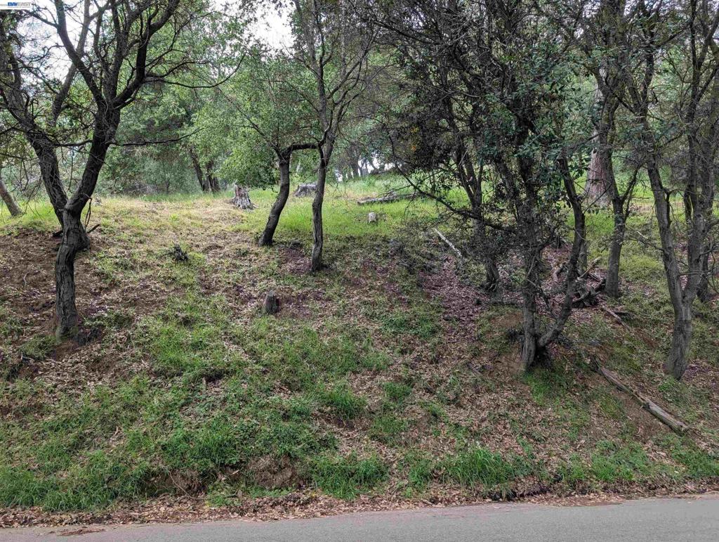 00 Girvin Dr Property Photo 2