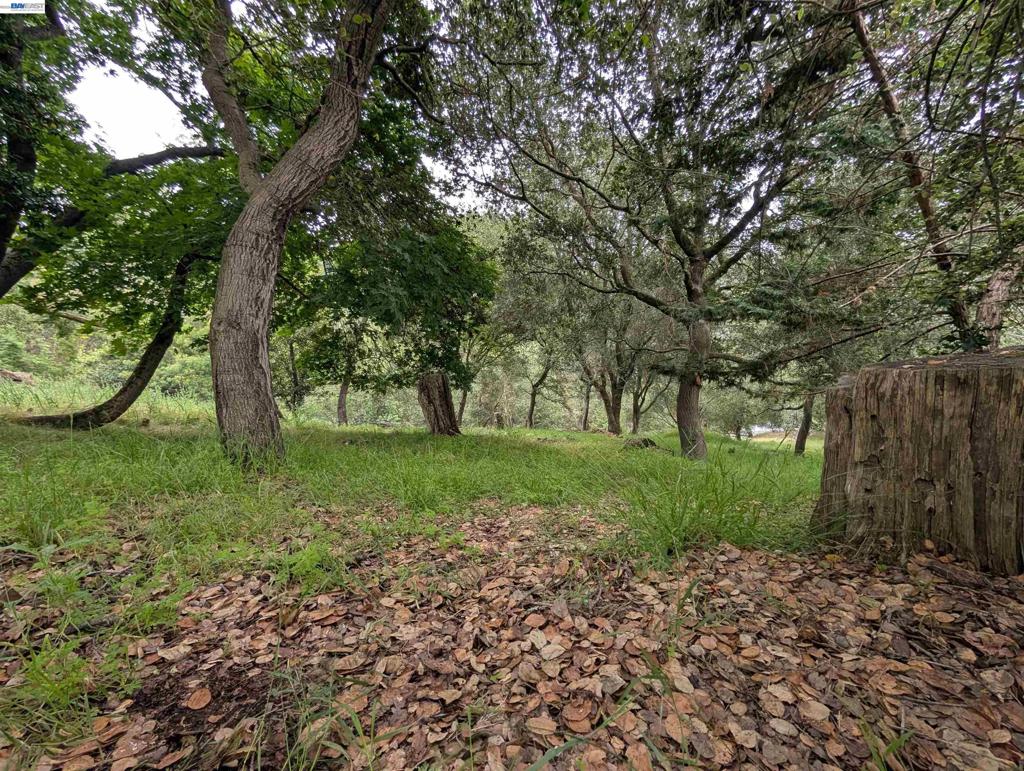 00 Girvin Dr Property Photo 10