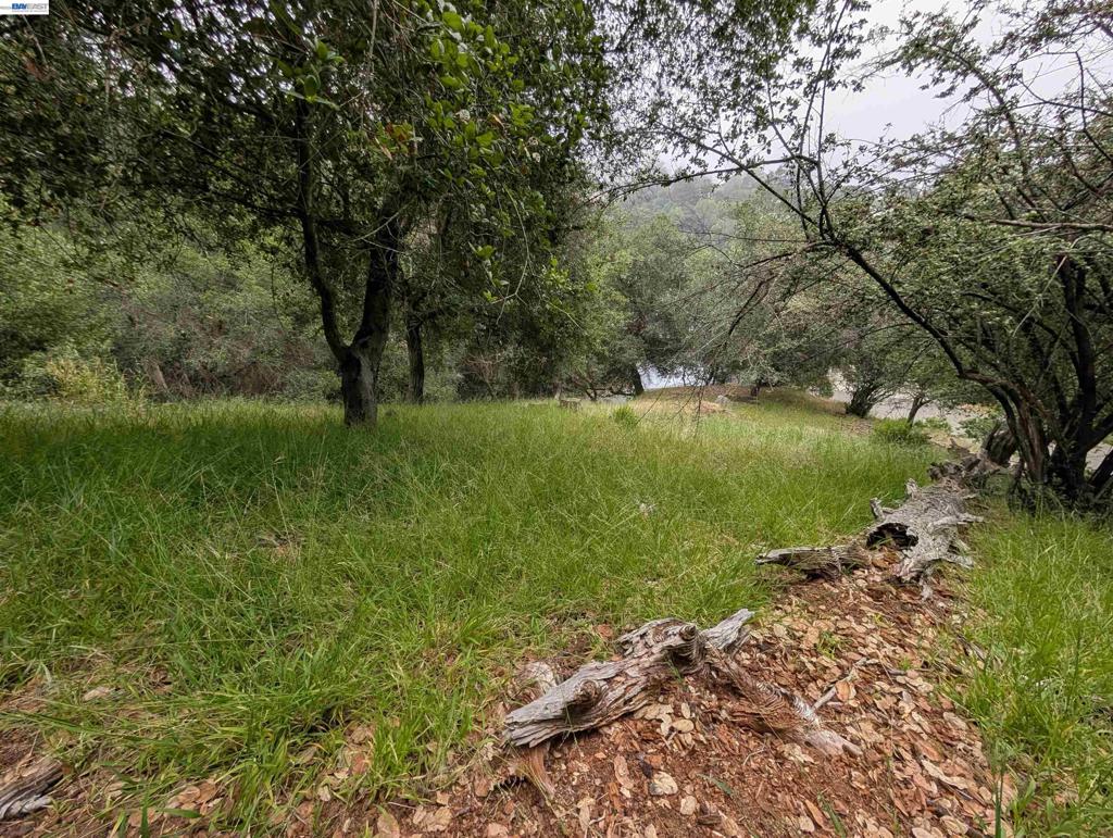 00 Girvin Dr Property Photo 13