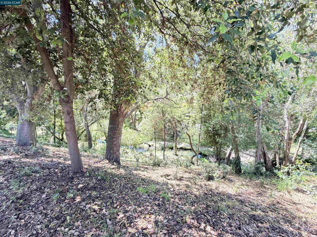 886 Valley Run Property Photo 23