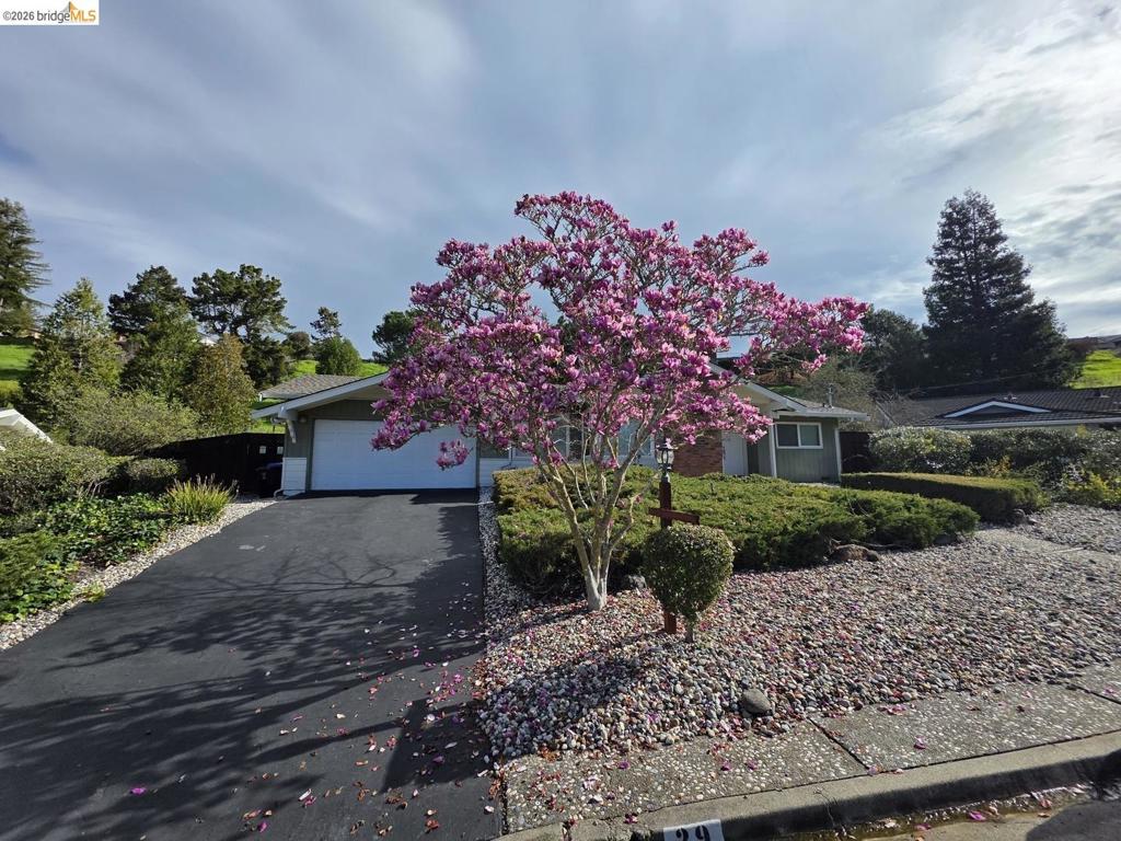 29 Thorndale Pl Property Photo 33