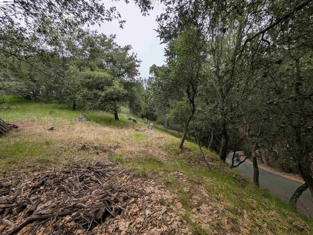 000 Girvin Drive Property Photo 1