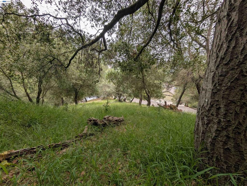 000 Girvin Drive Property Photo 2