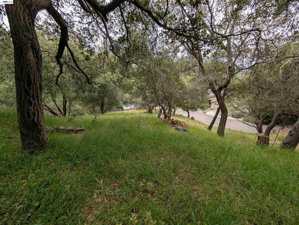 000 Girvin Drive Property Photo 4