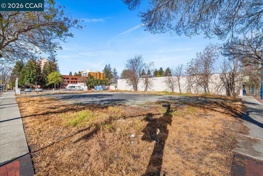 2383 Salvio St Property Photo 4