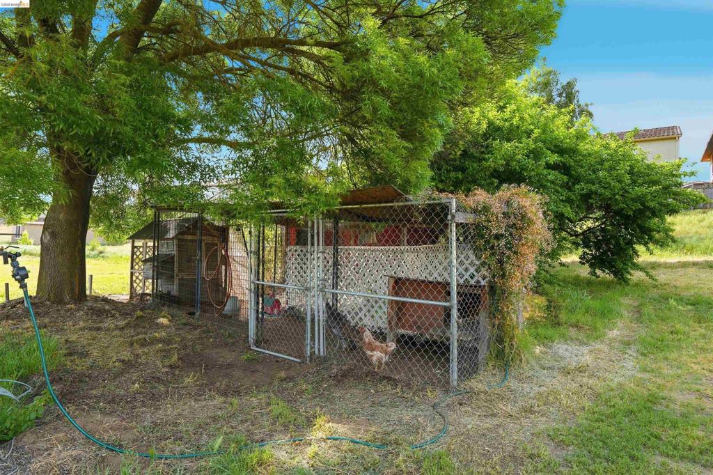 209 Honey Ln Property Photo 6