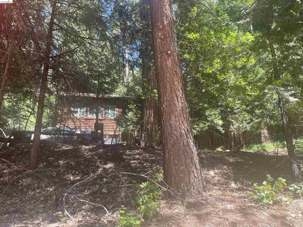 3201 Amber Trl Property Photo 1