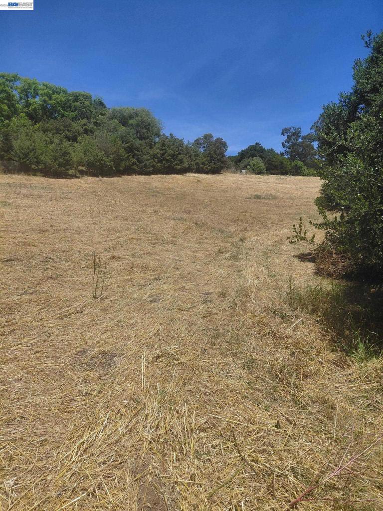 Fariss Ln Property Photo 2
