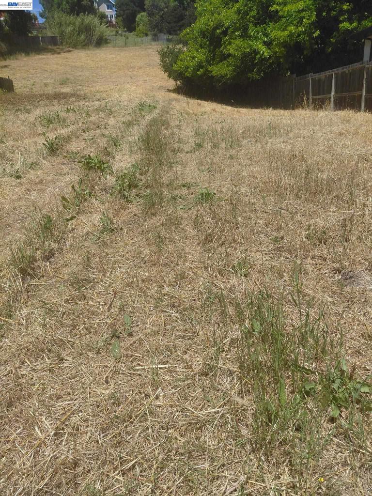 Fariss Ln Property Photo 8