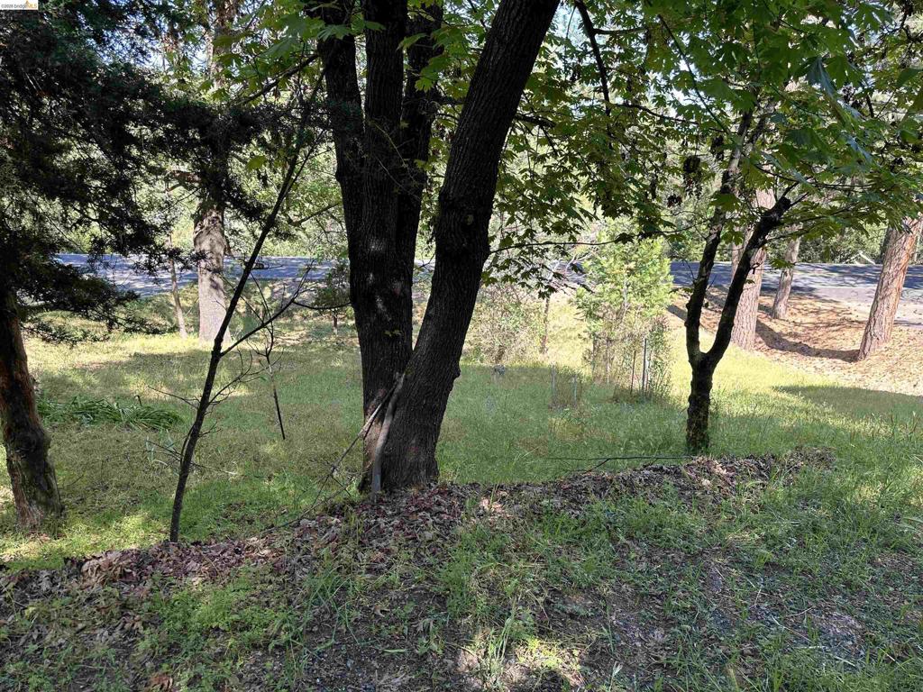 12948 Mueller Dr Property Photo 7