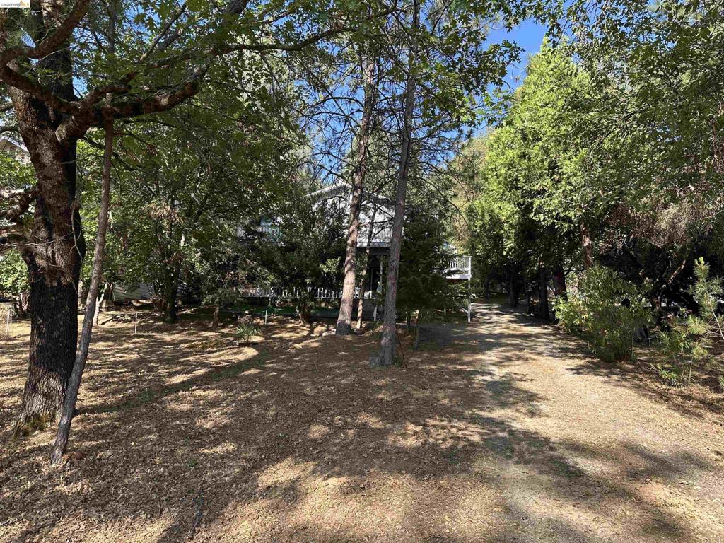 12948 Mueller Dr Property Photo 8