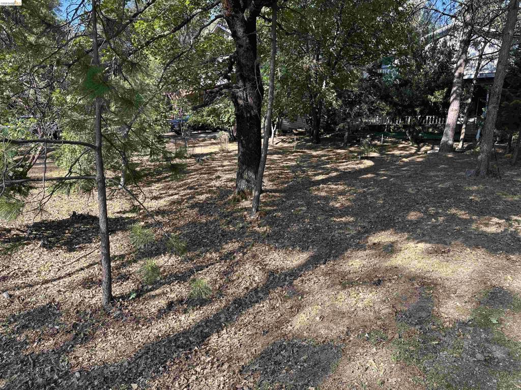 12948 Mueller Dr Property Photo 9