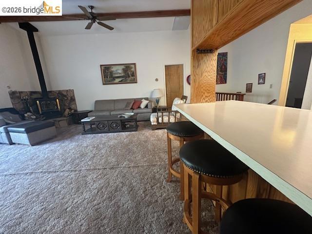 12948 Mueller Dr Property Photo 12
