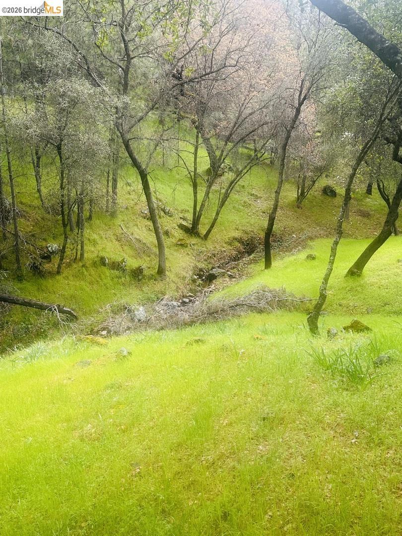 13095 Fox CT Property Photo 1