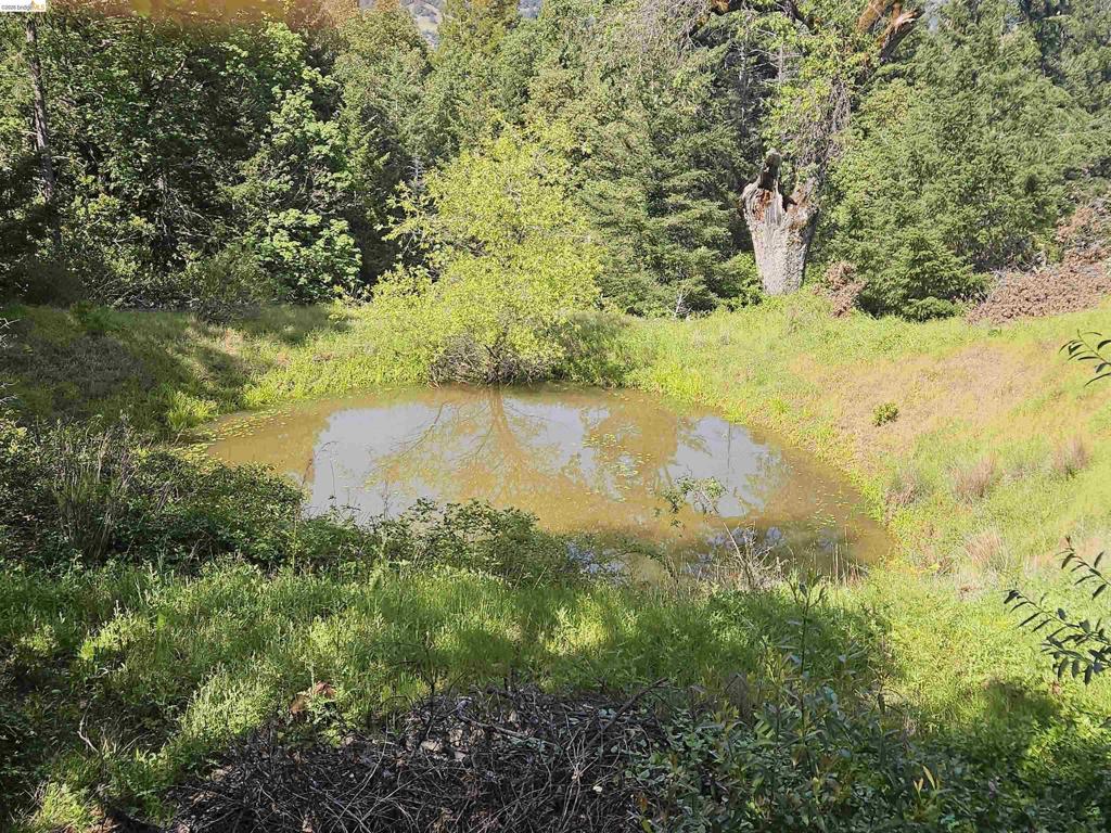 #14 Lake Sonoma Ranches Property Photo 41