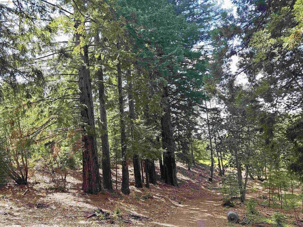 #14 Lake Sonoma Ranches Property Photo 45