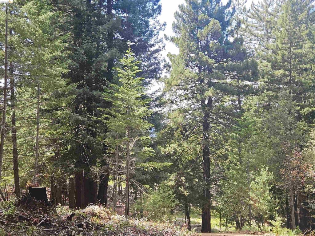 #14 Lake Sonoma Ranches Property Photo 46