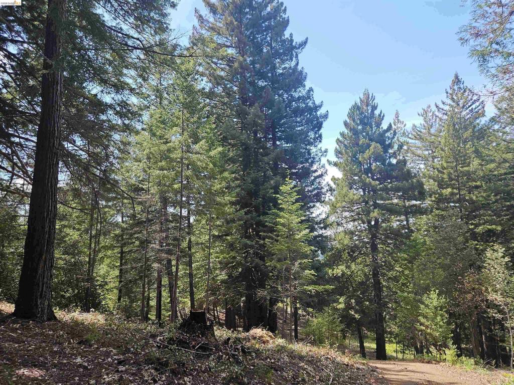 #14 Lake Sonoma Ranches Property Photo 47