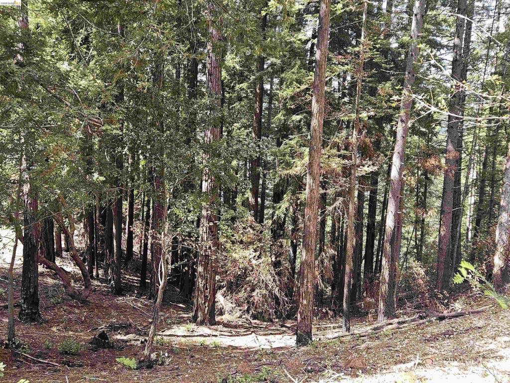 #14 Lake Sonoma Ranches Property Photo 48