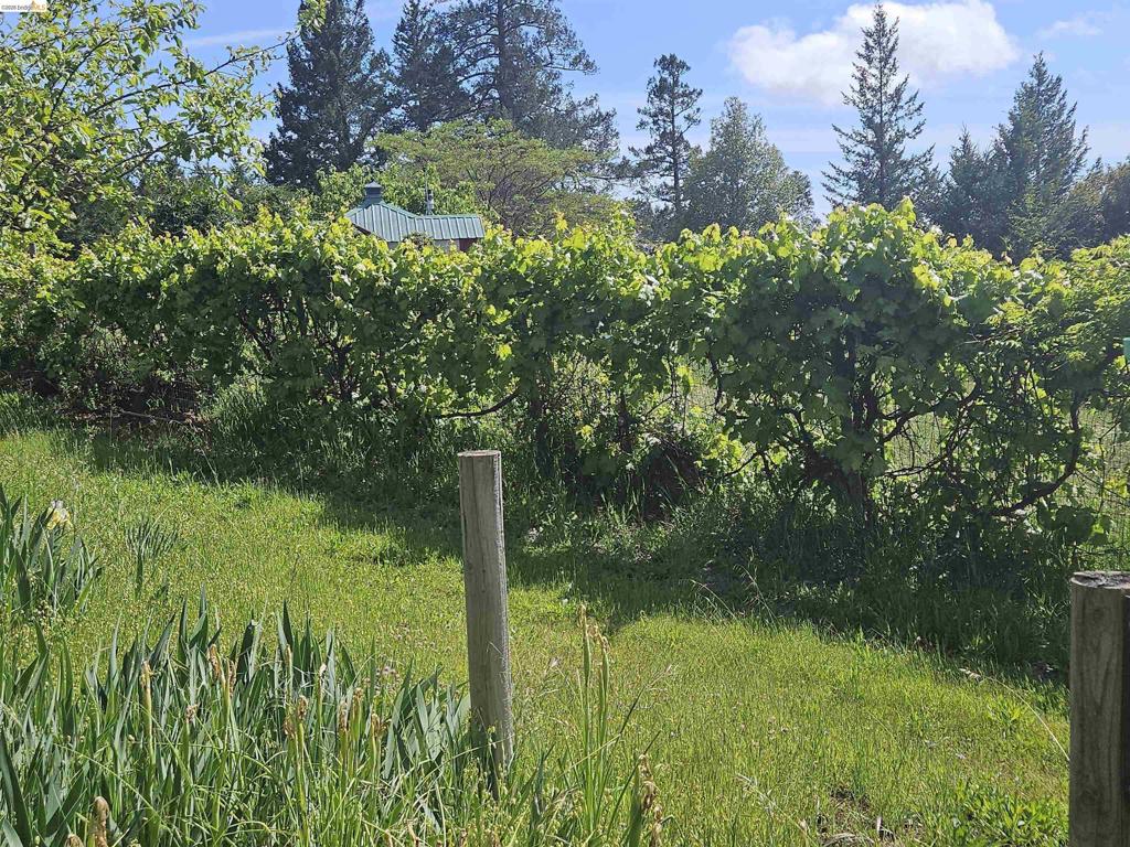 #14 Lake Sonoma Ranches Property Photo 49